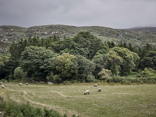 PaulMcGuckin-Rural Donegal 1